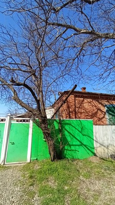 Объект по адресу Москва, Центральная ул, 41б/1 