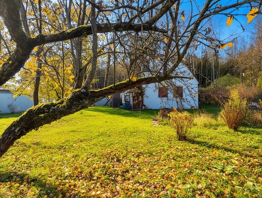 Объект по адресу Москва, СНТ Черничка тер 