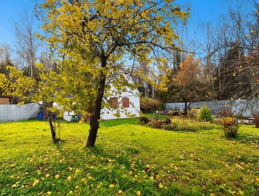 Объект по адресу Москва, СНТ Черничка тер 