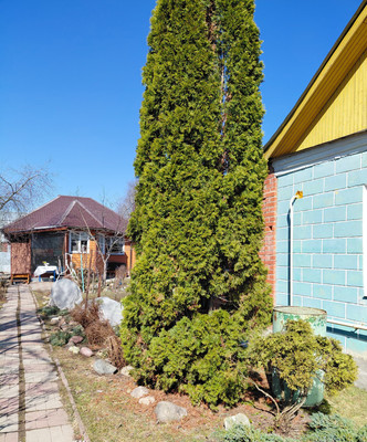 Объект по адресу Москва, Востряково мкр, 33 