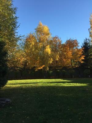 Объект по адресу Московская обл, Имени К. И. Вороницына ул, д. 11