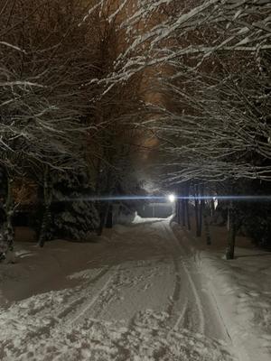 Объект по адресу Московская обл, Имени К. И. Вороницына ул, д. 11