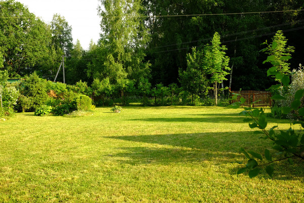 Объект по адресу Москва, Ельня тер. СНТ, 81 