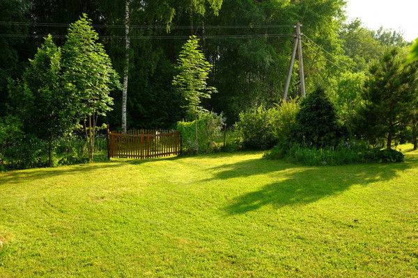Объект по адресу Москва, Ельня тер. СНТ, 81 