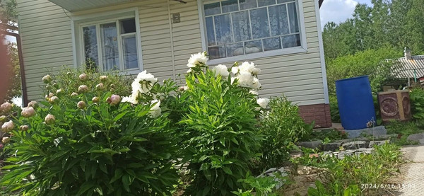 Объект по адресу Москва, СНТ Луч массива Заречное тер 