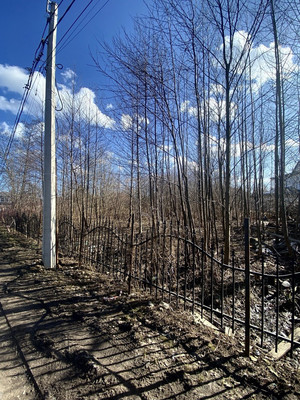 Объект по адресу Санкт-Петербург, Чайковского ул 