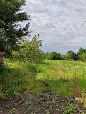 Объект по адресу Москва, Новая ул 