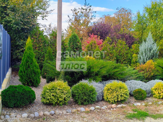 Объект по адресу Москва, Краснодарская ул, 240 