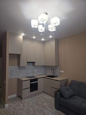 Объект по адресу Московская обл, Борисовка д, Рахманинова ул, д. 14