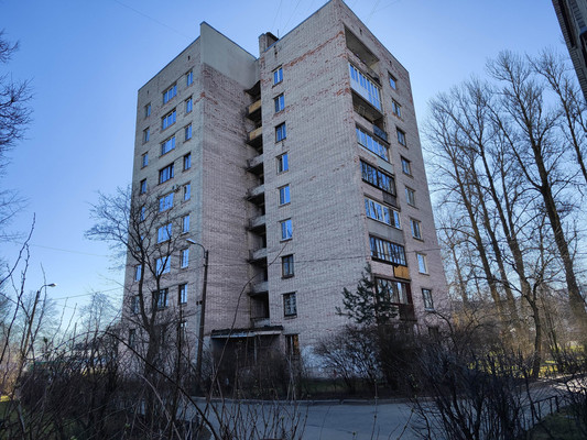 Объект по адресу Санкт-Петербург, Руставели ул, 2к1 