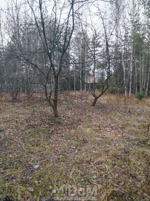 Объект по адресу Ленинградская обл, Приозерский р-н, Орехово п/ст, 1-я линия