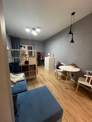 Фото квартиры по адресу Санкт-Петербург, Солидарности пр-кт, 9к3 