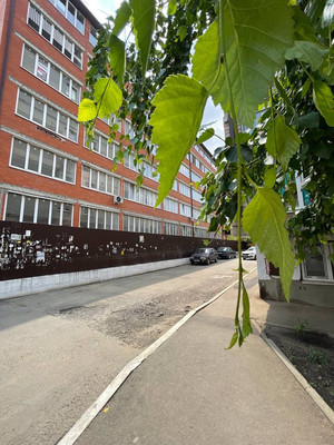 Фото квартиры по адресу Москва, Ратной Славы ул, 32 