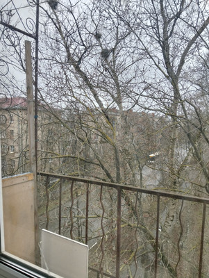 Фото квартиры по адресу Москва, Жуковского ул, 8 