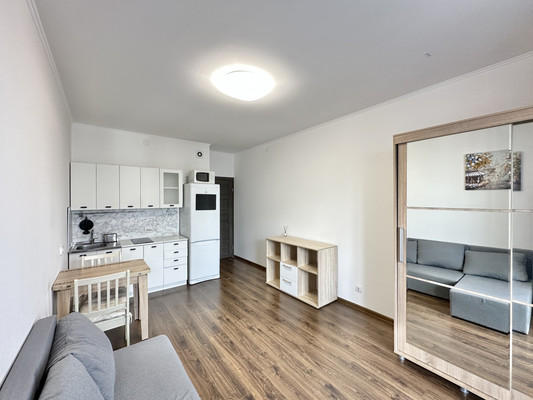 Фото квартиры по адресу Санкт-Петербург г, Арцеуловская ал., д. 21