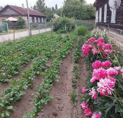 Объект по адресу Москва, Лесная ул, 15 