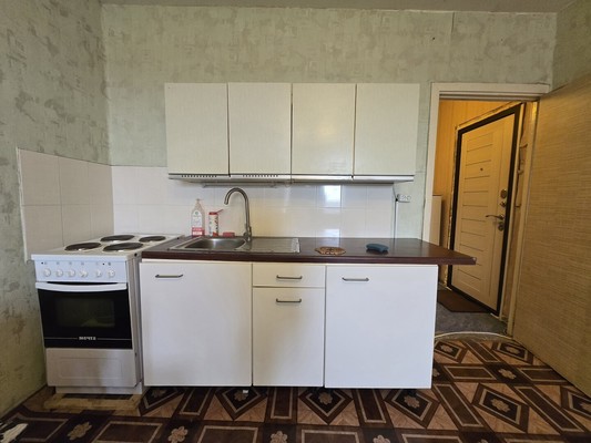 Объект по адресу Московская обл, Пушкина ул, д. 101