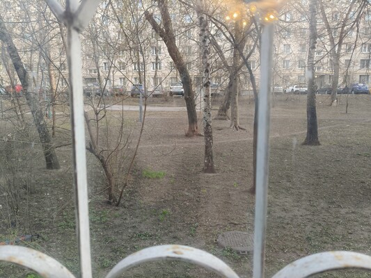Объект по адресу Москва, Кленовый б-р, 4 