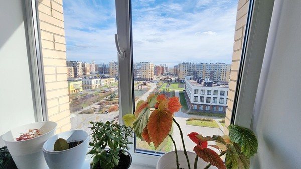 Фото квартиры по адресу Ленинградская обл, Ломоносовский р-н, Новоселье гп, Питерский пр-кт, д. 5