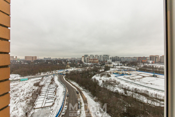 Фото квартиры по адресу Ленинградская обл, Всеволожский р-н, Новое Девяткино д, Арсенальная ул, д. 1