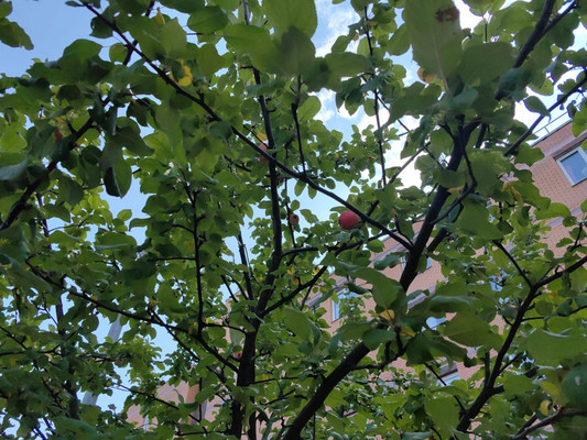 Фото квартиры по адресу Ленинградская обл, Всеволожский р-н, Взлетная ул, д. 12к5