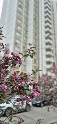 Объект по адресу Москва г, Кременчугская ул, д. 5к3