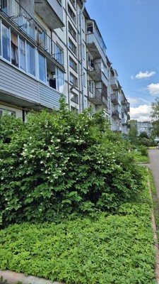 Объект по адресу Москва, Центральная ул, 2 