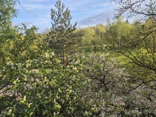 Объект по адресу Москва, Халтурина ул, 13 