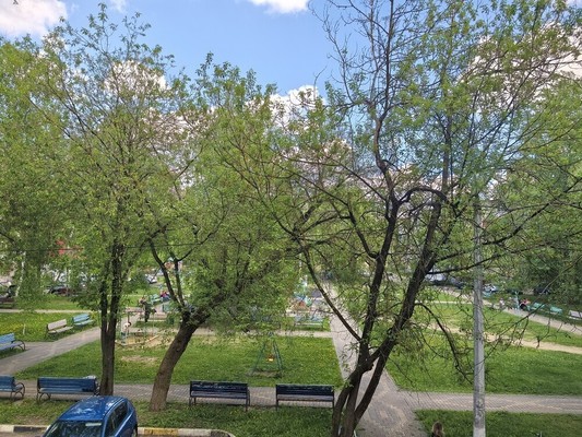 Фото квартиры по адресу Московская обл, Юрово д, Космонавтов ул, д. 8