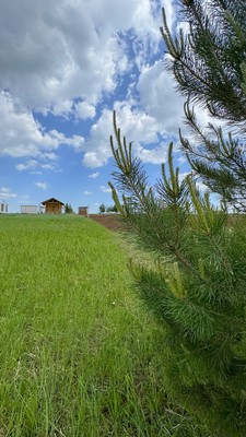 Объект по адресу Пермский край, Пермский р-н, Большакино д, 5 кв-л