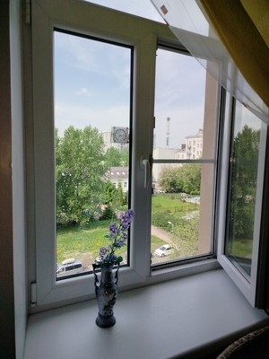 Фото квартиры по адресу Санкт-Петербург, Елизарова пр-кт, 1 
