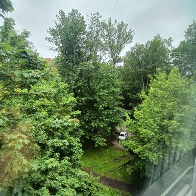 Фото квартиры по адресу Санкт-Петербург, Шелгунова ул, 8Б 