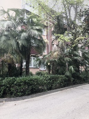 Объект по адресу Краснодарский край, Цветной бульвар ул, д. 19