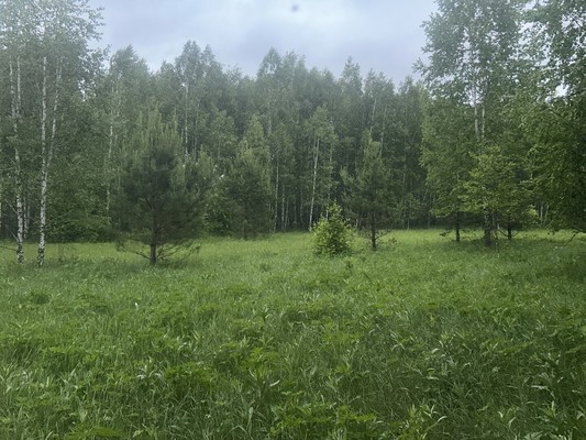 Объект по адресу Москва, Октябрьская ул 
