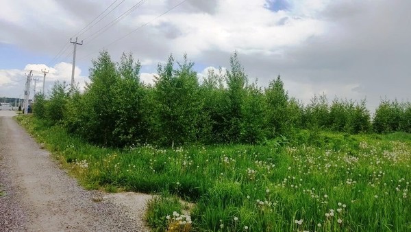 Объект по адресу Москва, КП Ясный тер 