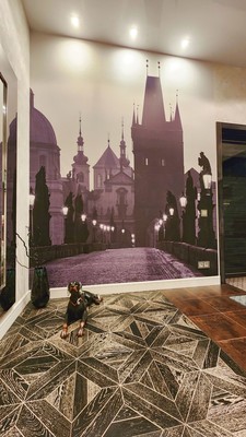 Объект по адресу Москва, Жилино д, 6 