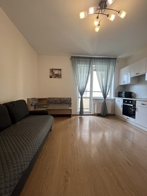 Фото квартиры по адресу Санкт-Петербург г, Ветеранов пр-кт, д. 169к3