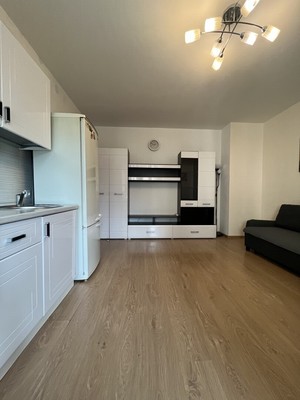 Фото квартиры по адресу Санкт-Петербург г, Ветеранов пр-кт, д. 169к3