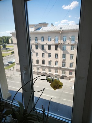 Фото квартиры по адресу Санкт-Петербург, Швецова ул, 11 