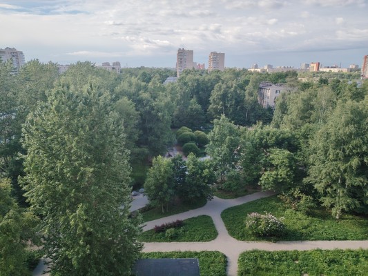 Объект по адресу Санкт-Петербург г, Типанова ул, д. 29