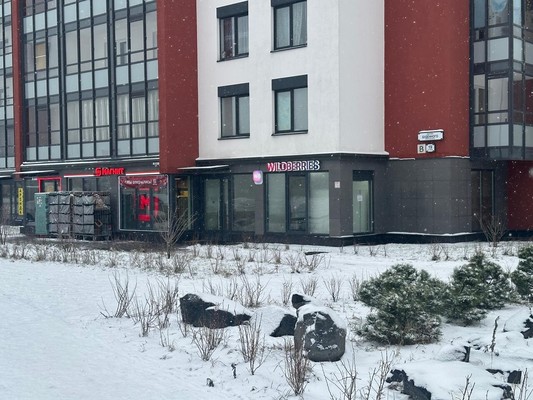 Объект по адресу Санкт-Петербург г, Стрельна п, Буденного пр-кт, д. 19к1