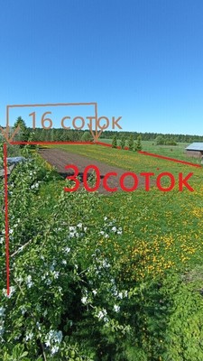 Объект по адресу Москва, Тихая ул, 51 