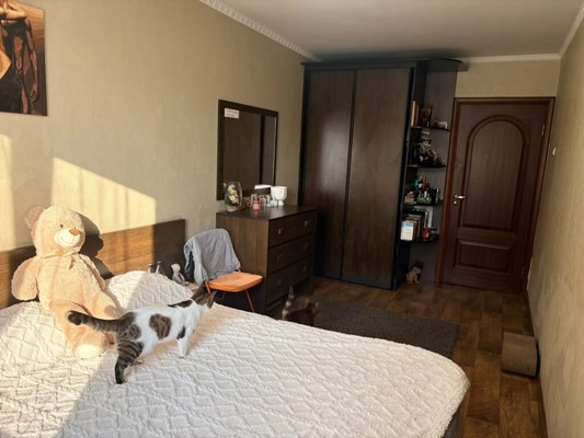 Объект по адресу Москва, Дружбы (Центральный р-н) пр-кт, 56 