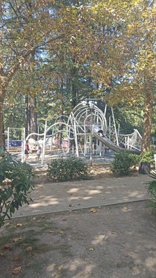 Объект по адресу Краснодарский край, Центральный р-н, Гагарина ул, д. 32