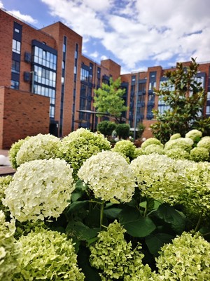 Объект по адресу Москва, Круговая ул, 4/1к3 
