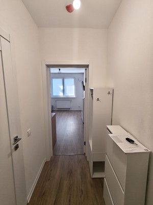 Объект по адресу Санкт-Петербург, Пахомовская ул, 10к4 