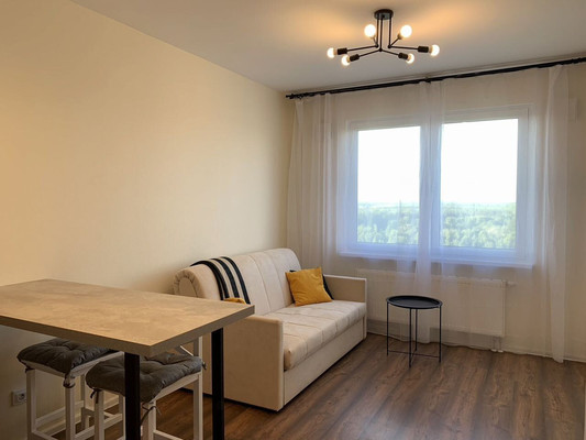 Объект по адресу Санкт-Петербург г, Пейзажная ул, д. 24к1
