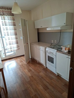 Объект по адресу Санкт-Петербург, Кушелевская дор, 1к3 