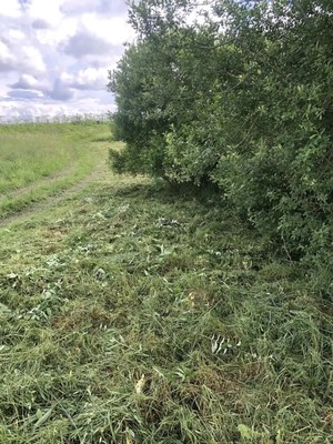 Объект по адресу Ленинградская обл, Гатчинский р-н, Жабино д, Новая ул