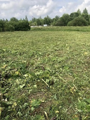 Объект по адресу Ленинградская обл, Гатчинский р-н, Жабино д, Новая ул